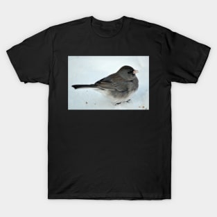 Winter Snow Bird 2 T-Shirt